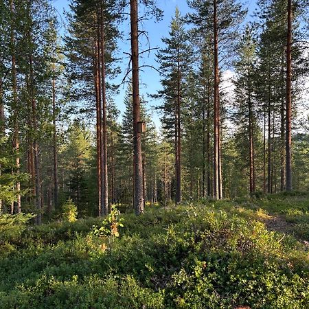 Loppiaiskaari 5, Paljakka Puolanka Bagian luar foto