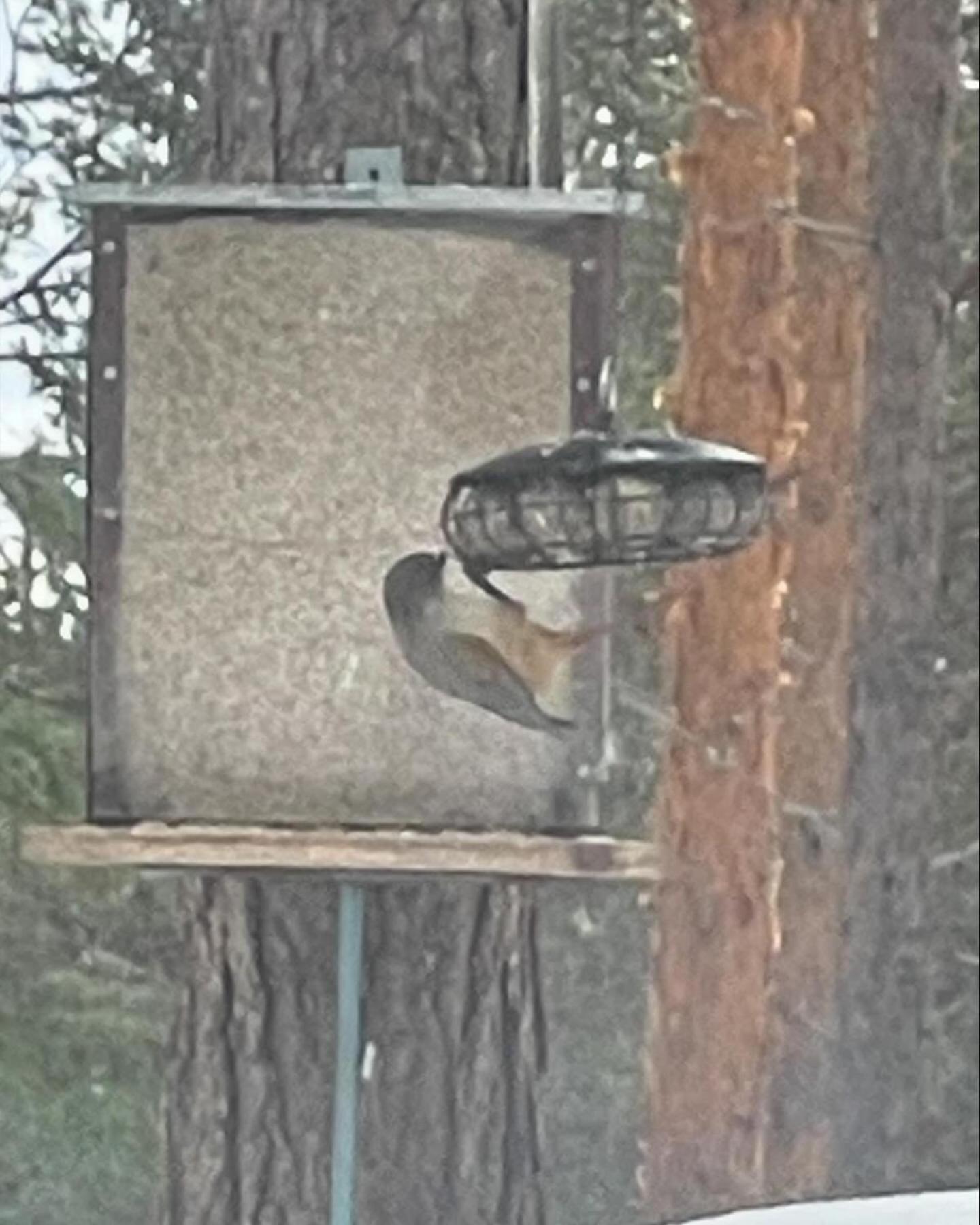 Loppiaiskaari 5, Paljakka Puolanka Bagian luar foto