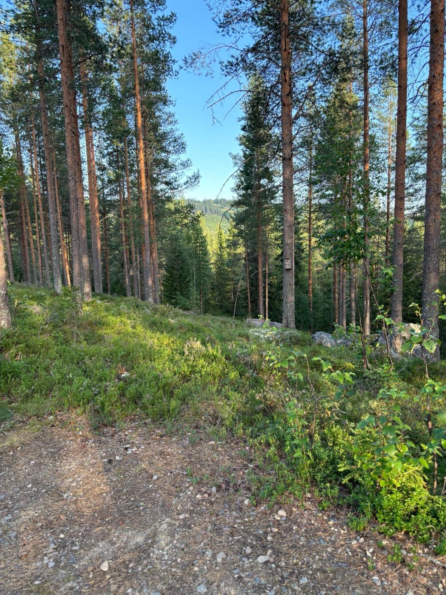 Loppiaiskaari 5, Paljakka Puolanka Bagian luar foto