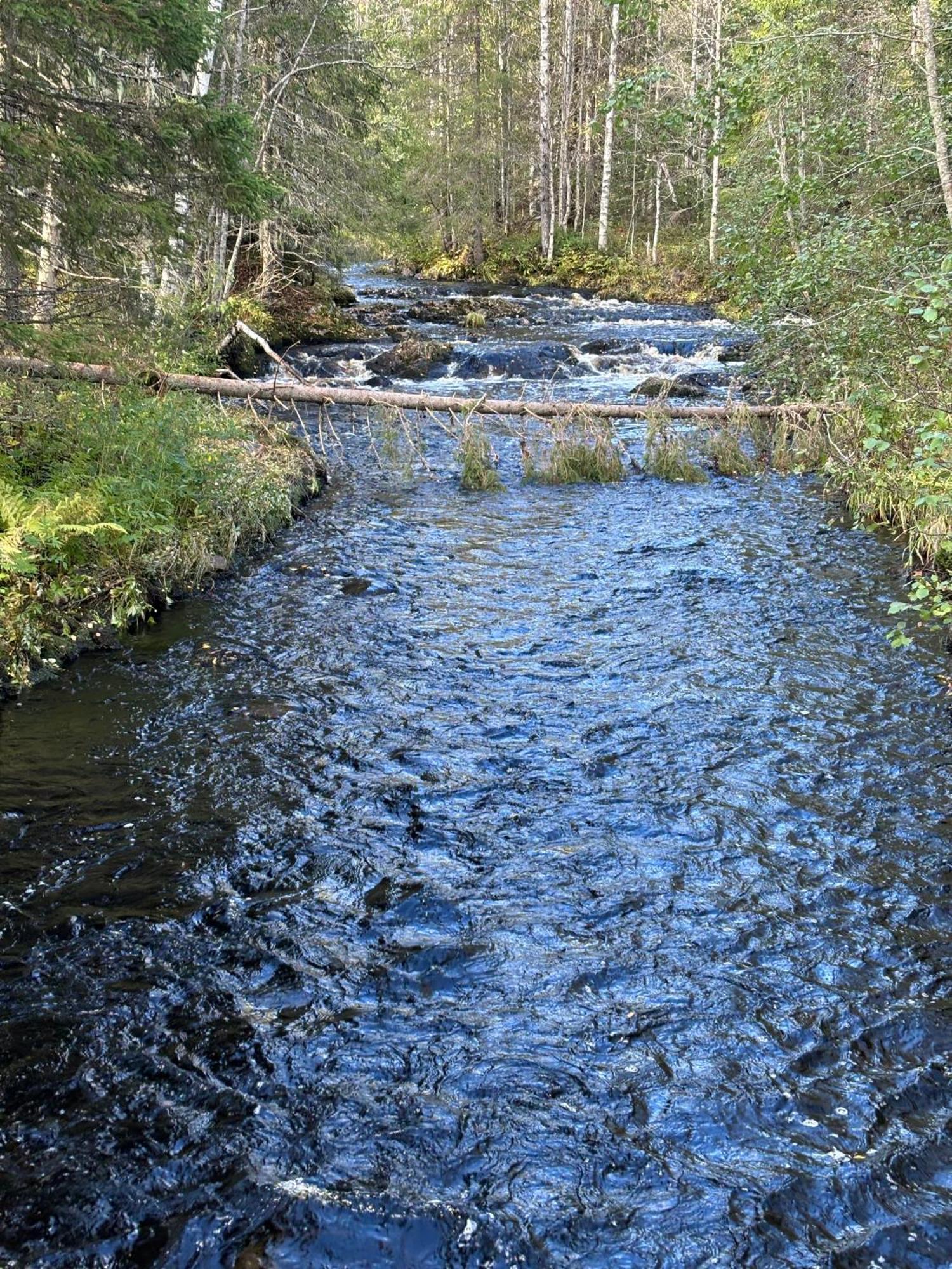 Loppiaiskaari 5, Paljakka Puolanka Bagian luar foto